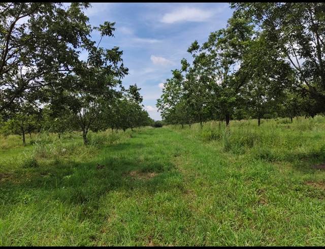 96HA FARM FOR SALE IN HEKPOORT